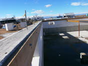fall,winter 2012 031
